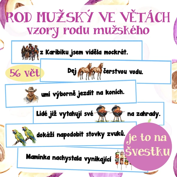 Rod mužský ve větách - vzory rodu ženského