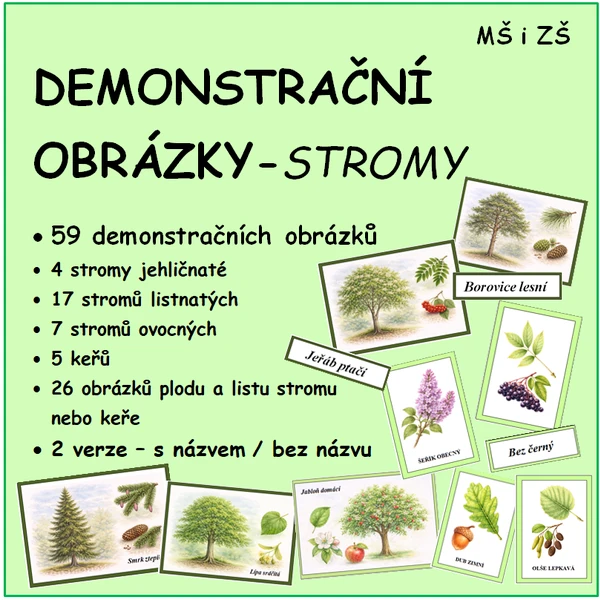 STROMY - demonstrační obrázky