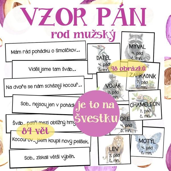 vzor PÁN