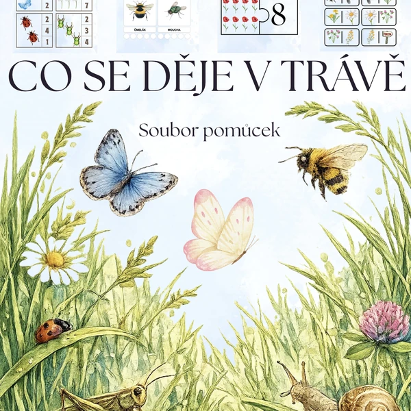 🌼 CO SE DĚJE V TRÁVĚ 🐞 - bez barevného pozadí