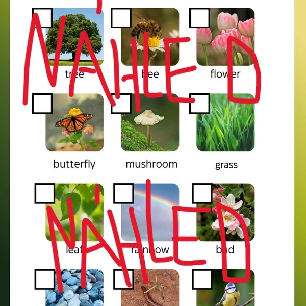 Spring scavenger hunt + flashcards