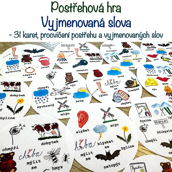 Postřehová hra - Vyjmenovaná slova