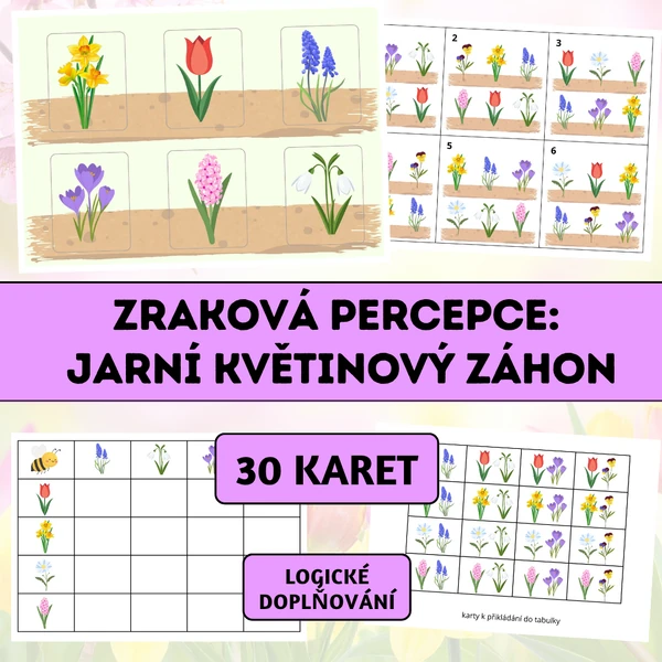 Zraková percepce: Jarní květinový záhon