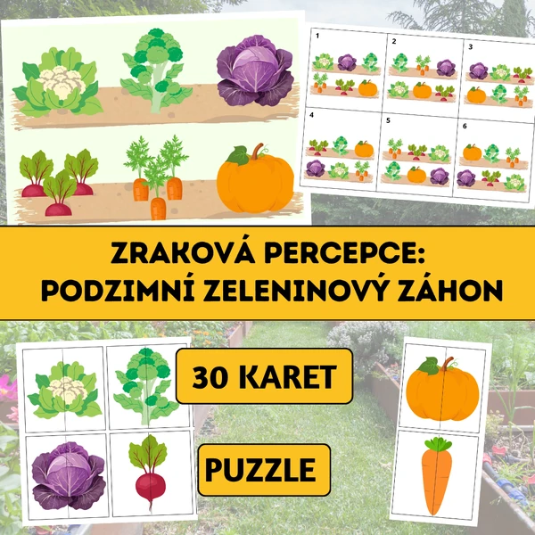 Zraková percepce: Podzimní zeleninový záhon