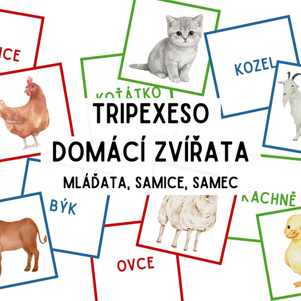 Tripexeso - domácí zvířata - mláďata, samice, samec