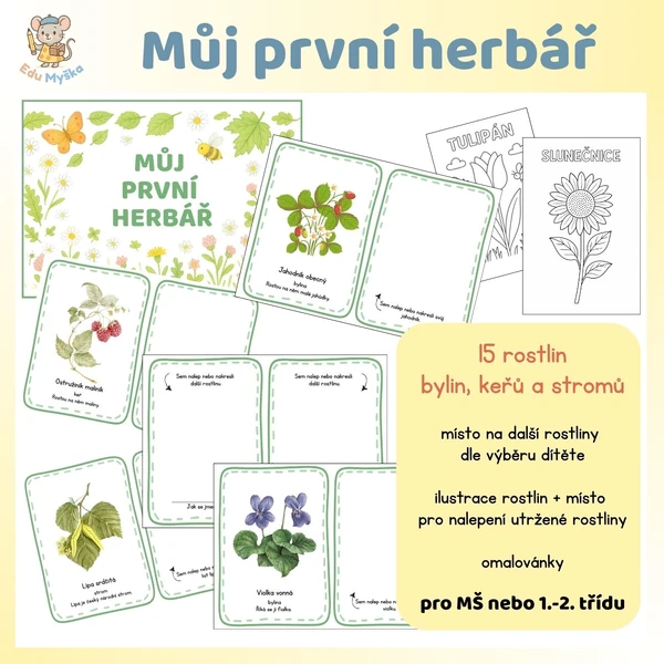 Můj první herbář