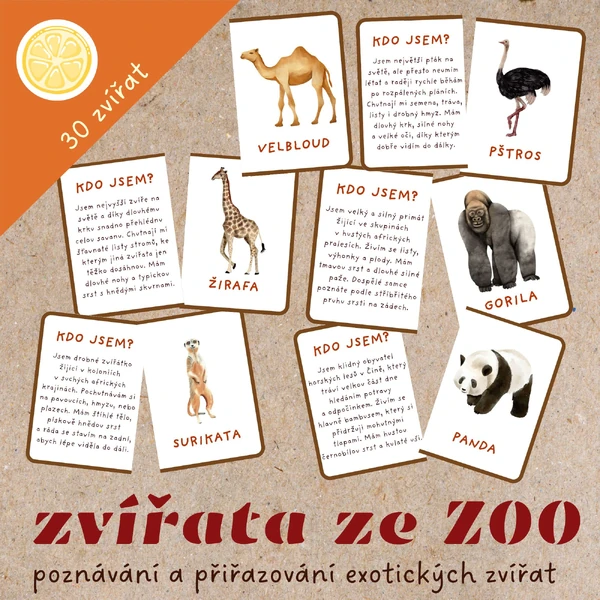 KDO JSEM? EXOTICKÁ ZVÍŘATA - KARTIČKY K PŘIŘAZOVÁNÍ