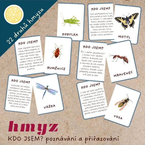 KDO JSEM? HMYZ - KARTIČKY K PŘIŘAZOVÁNÍ