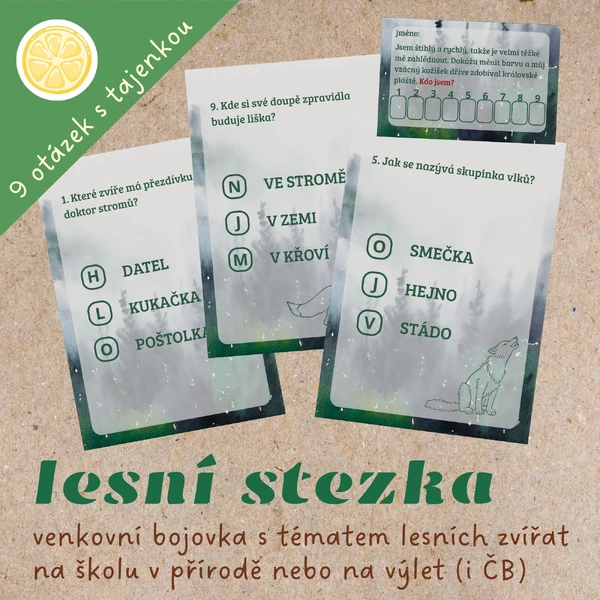 LESNÍ STEZKA | venkovní bojovka na školu v přírodě