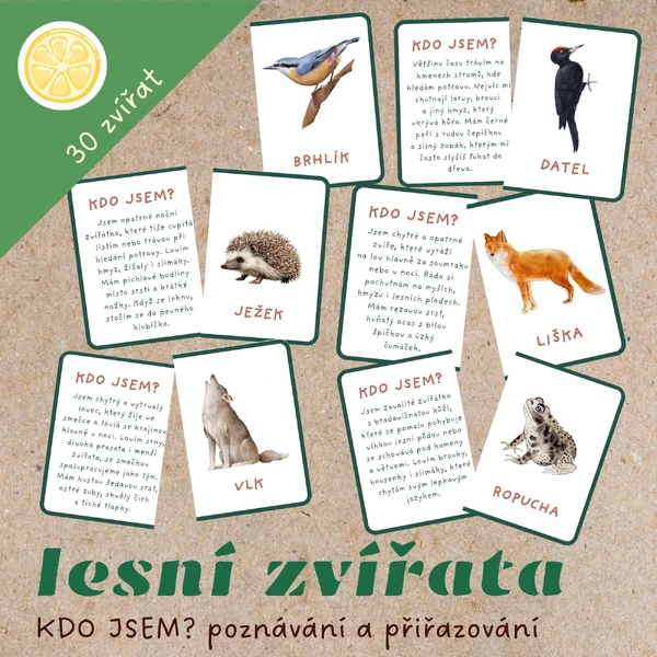 KDO JSEM? LESNÍ ZVÍŘATA - KARTIČKY K PŘIŘAZOVÁNÍ