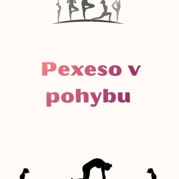 Pexeso v pohybu 
