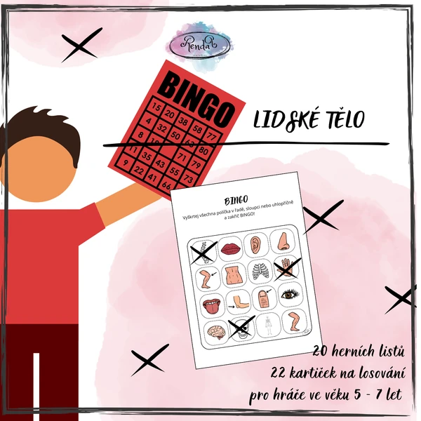Bingo - Lidské tělo