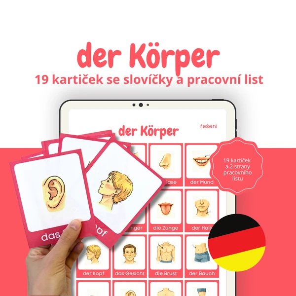 Der Körper: 19 kartiček se slovíčky o lidském těle a pracovní list