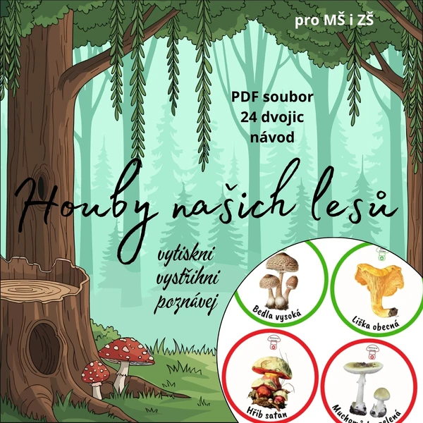 Houby našich lesů
