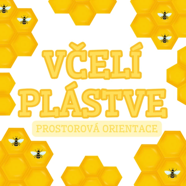 Včelí plástve - kde jsou včeličky