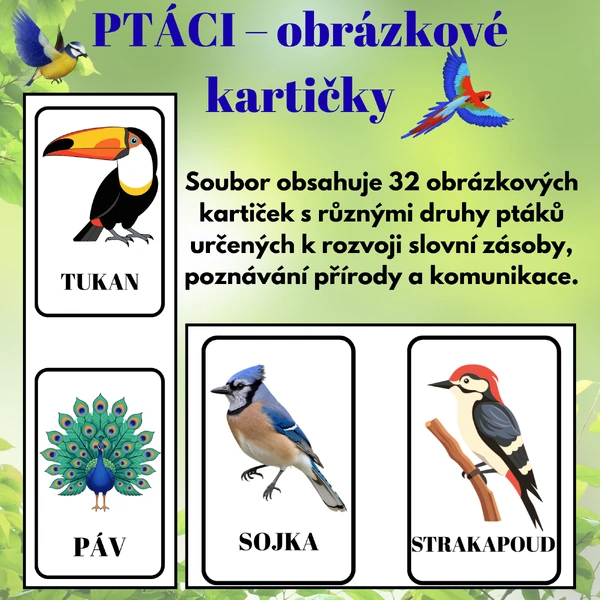Obrázkové kartičky – Ptáci | 32 kartiček pro děti