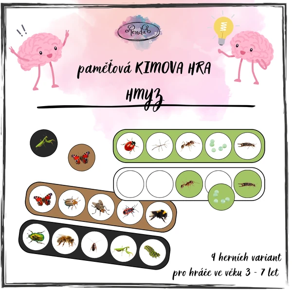 Kimova hra (Hmyz)