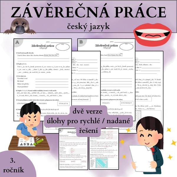 Závěrečná písemná práce - ČJ | 3. roč