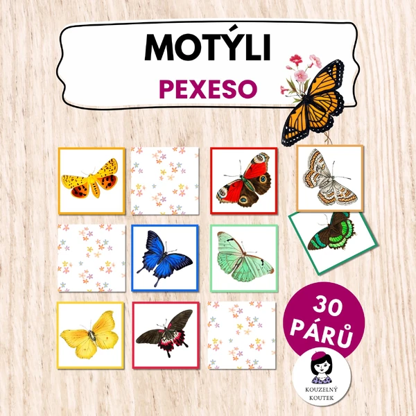 Pexeso s motýli | hmyz | motýli 
