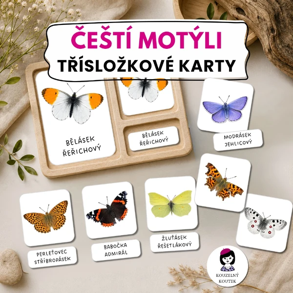 Třísložkové karty - čeští motýli | Montessori karty | Motýli | Hmyz | Entomologie