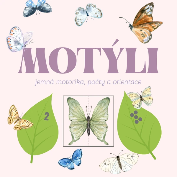 Motýli