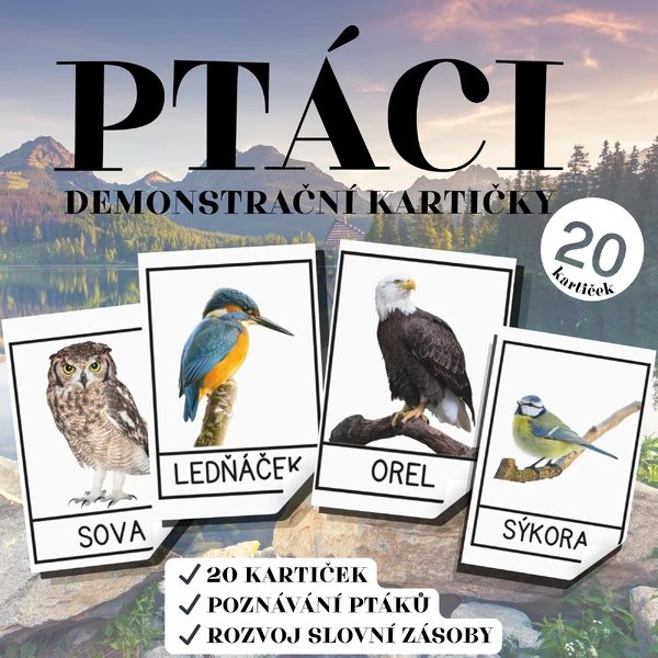 Ptáci – demonstrační kartičky