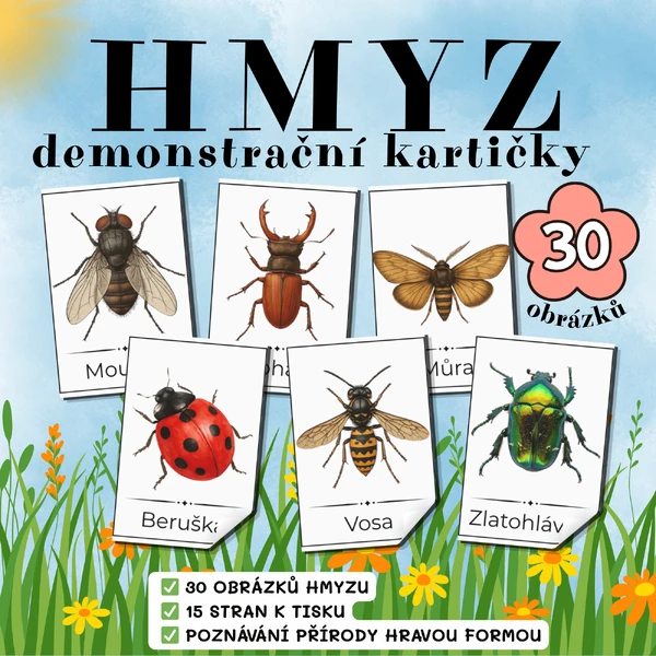 HMYZ – demonstrační kartičky