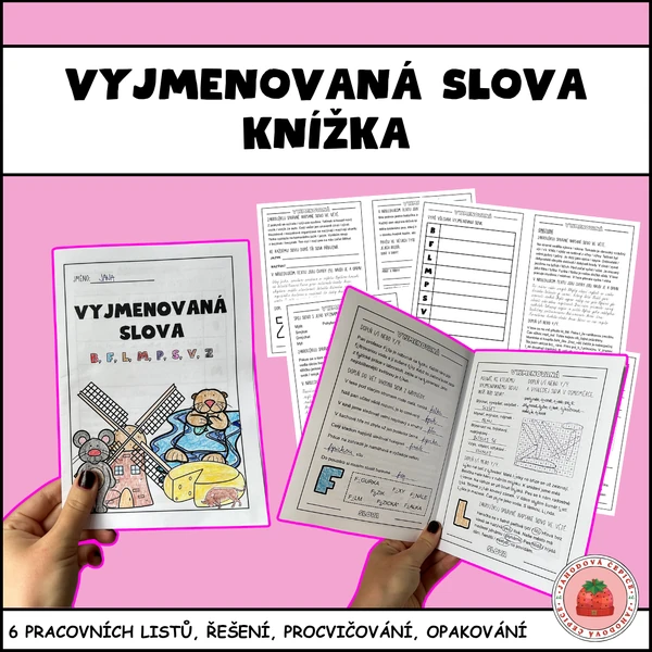 Vyjmenovaná slova - knížka