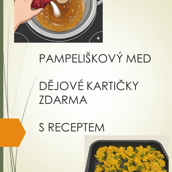 Pampeliškový med - dějové kartičky