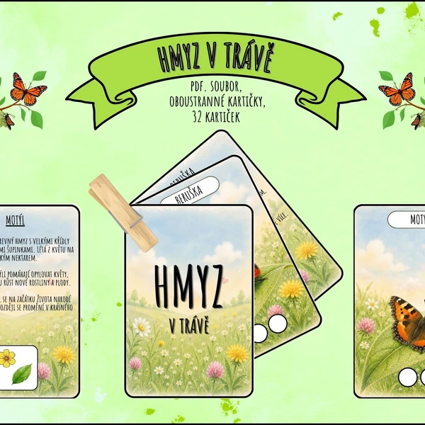 Hmyz v trávě - kartičky 🐝🐞