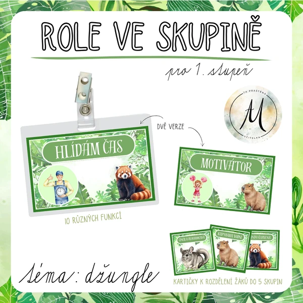 Role ve skupině