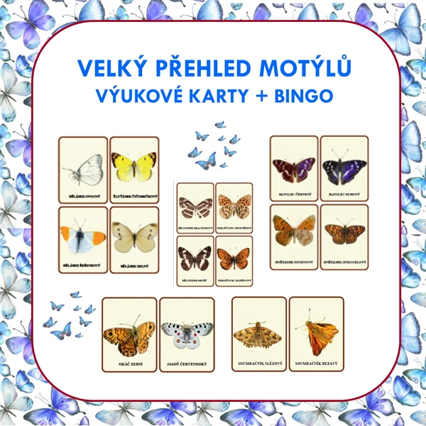VELKÝ PŘEHLED MOTÝLŮ VÝUKOVÉ KARTY + BINGO