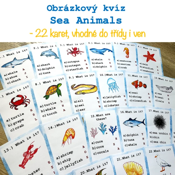 Obrázkový kvíz - Sea Animals