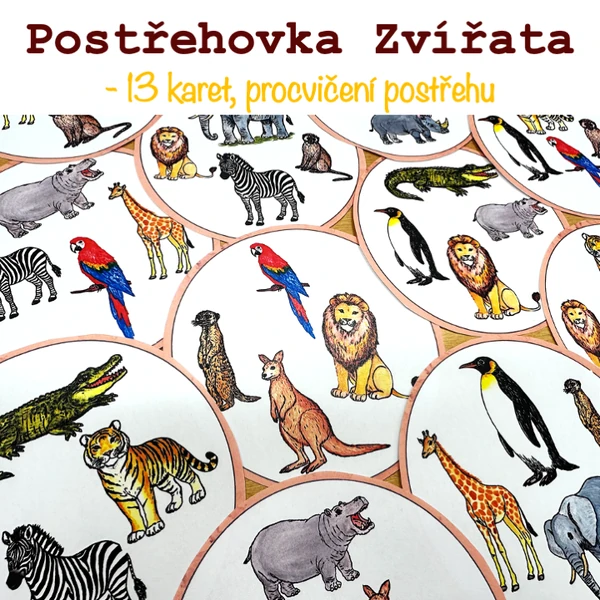 Postřehová hra - Zvířata
