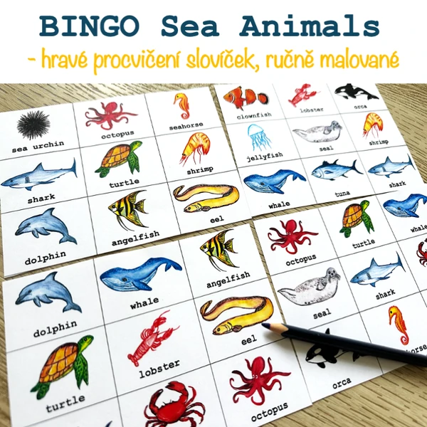 Bingo - Sea Animals (ručně malované)