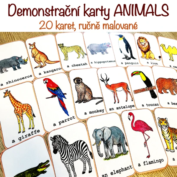 Demonstrační karty - ANIMALS (ručně malované)