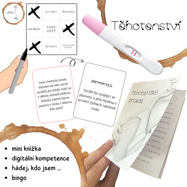 Těhotenství (cesta od testu k porodu) – mini knížka, karty a bingo