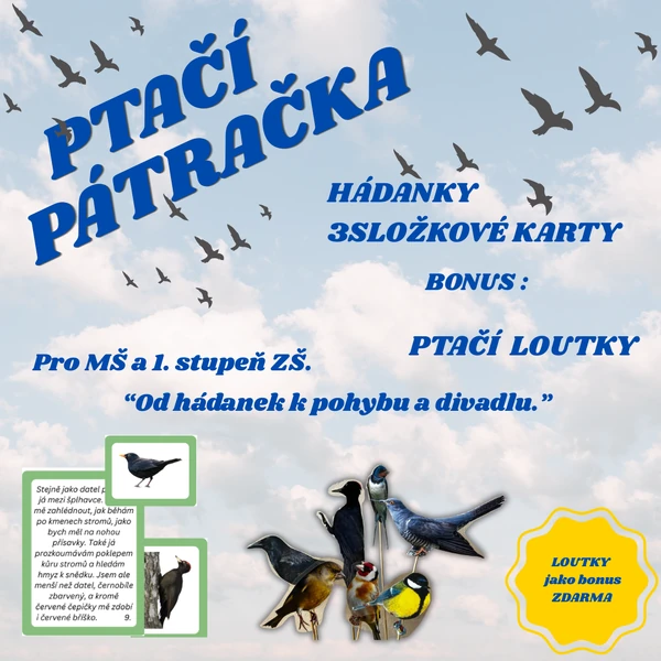 Ptačí pátračka