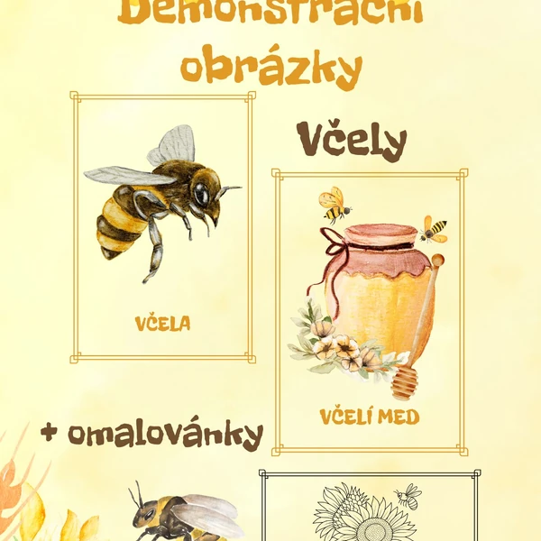 Včely - Demonstrační obrázky