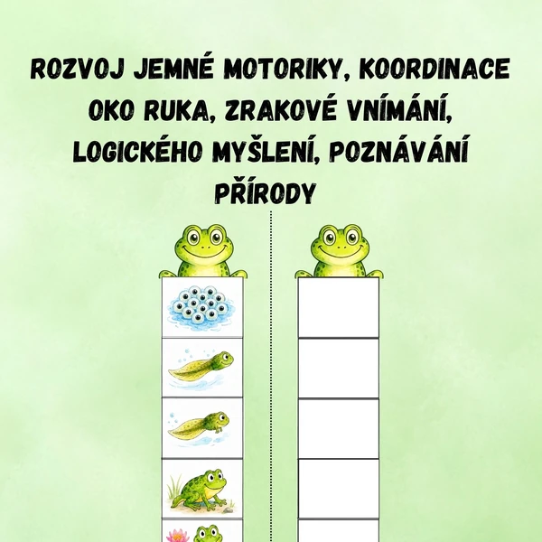 VÝVOJ ŽÁBY
