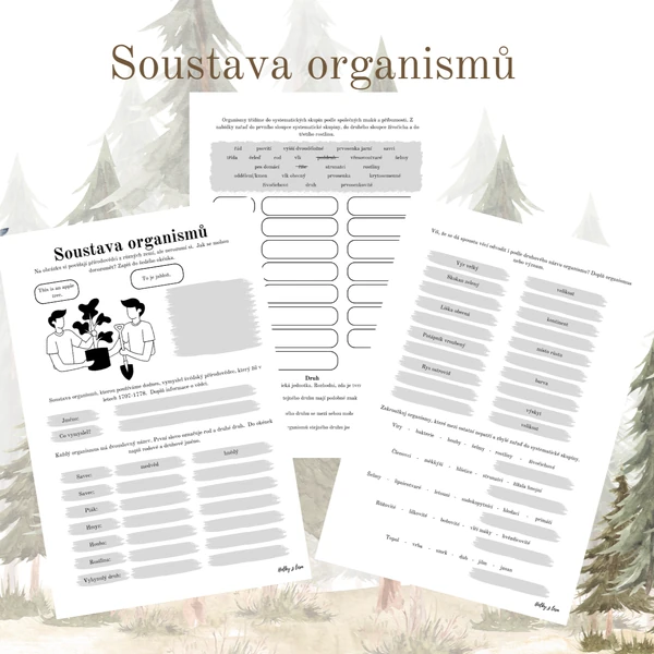 Soustava organismů