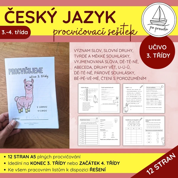 Český jazyk pro 3. třídu | procvičovací sešítek