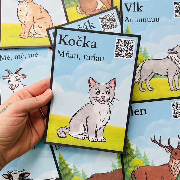 Demonstrační a zvukové karty - Zvířata