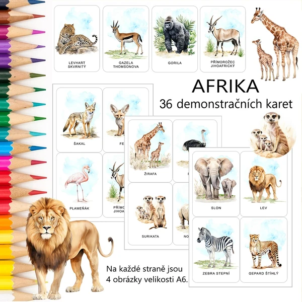 Afrika - 36 demonstračních karet