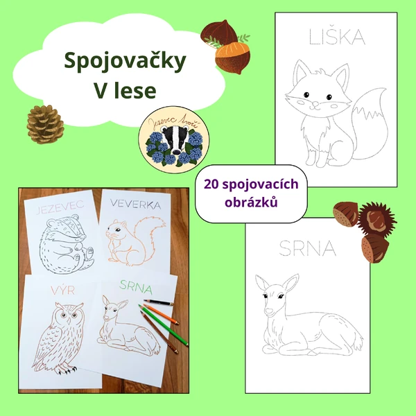 Spojovačky - v lese 