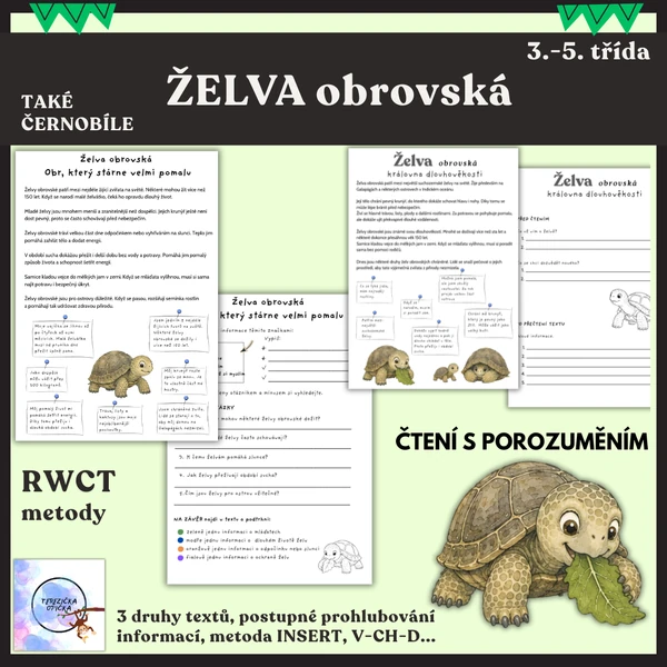 Želva - čtení s porozuměním a RWCT