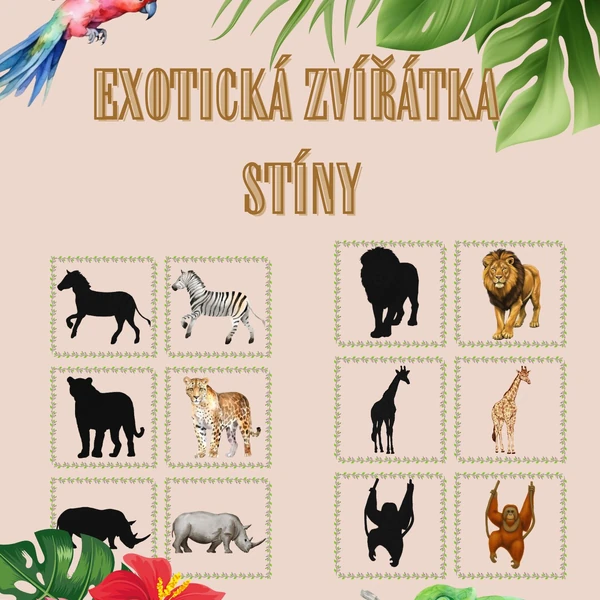 Exotická zvířátka – dvojice stínů 🦒🦜🐘