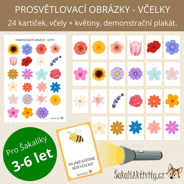  PROSVĚTLOVACÍ OBRÁZKY - Na jaké květině sedí včelka? 
