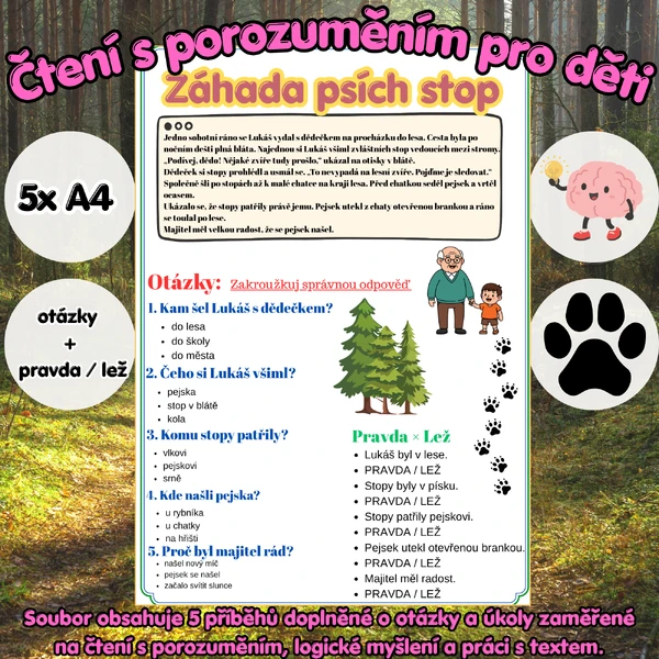 Čtení s porozuměním 4 - pro děti | 5x A4