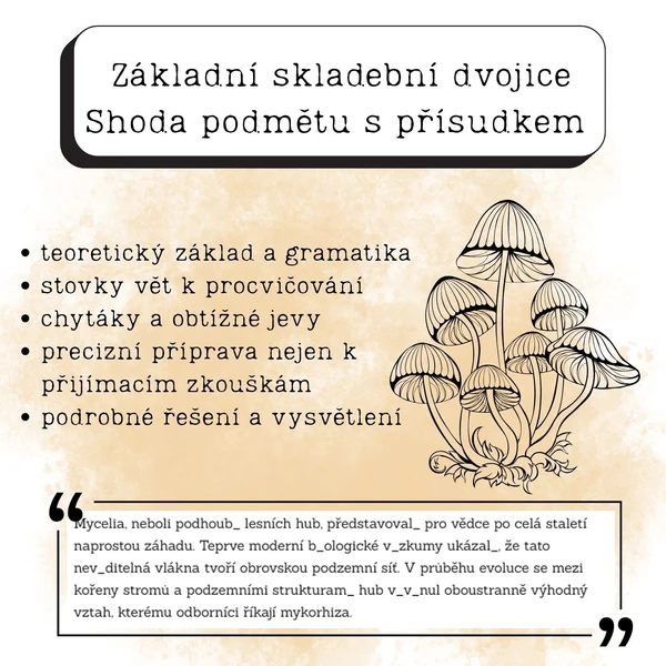 Shoda podmětu s přísudkem 